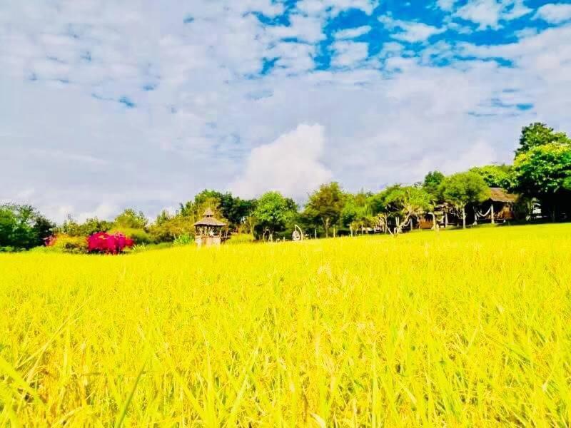 Vimarnkiri Resort Pai Luaran gambar